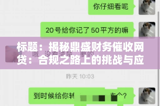 标题：揭秘鼎盛财务催收网贷：合规之路上的挑战与应对